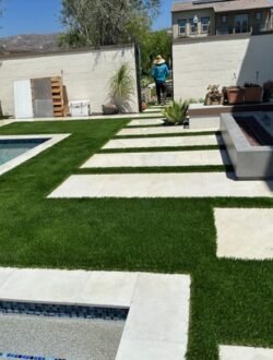 Backyard green landscape design