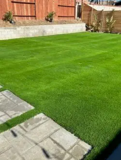Backyard green design after