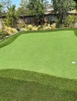 Backyard fold field after