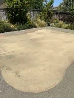 Backyard fold field before