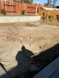 Backyard green design before