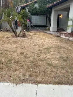 Front Yard before