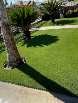 Green landscape design frontyard after