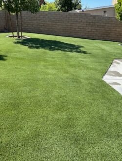 Green landscape design