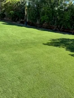 Green landscape design