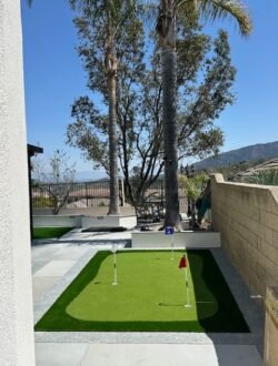 Minigolf Backyard