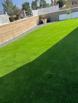 Green landscape design