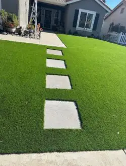 Backyard green design after