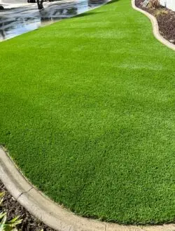 Green landscape design after