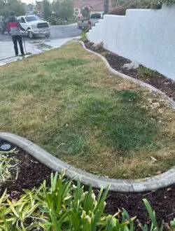 Green landscape design before